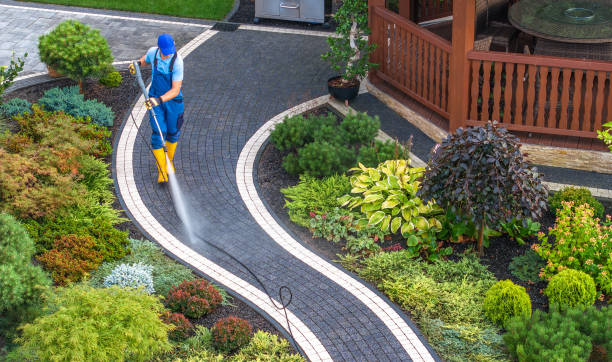 Best Roof Power Washing Services  in Grand Junction, CO